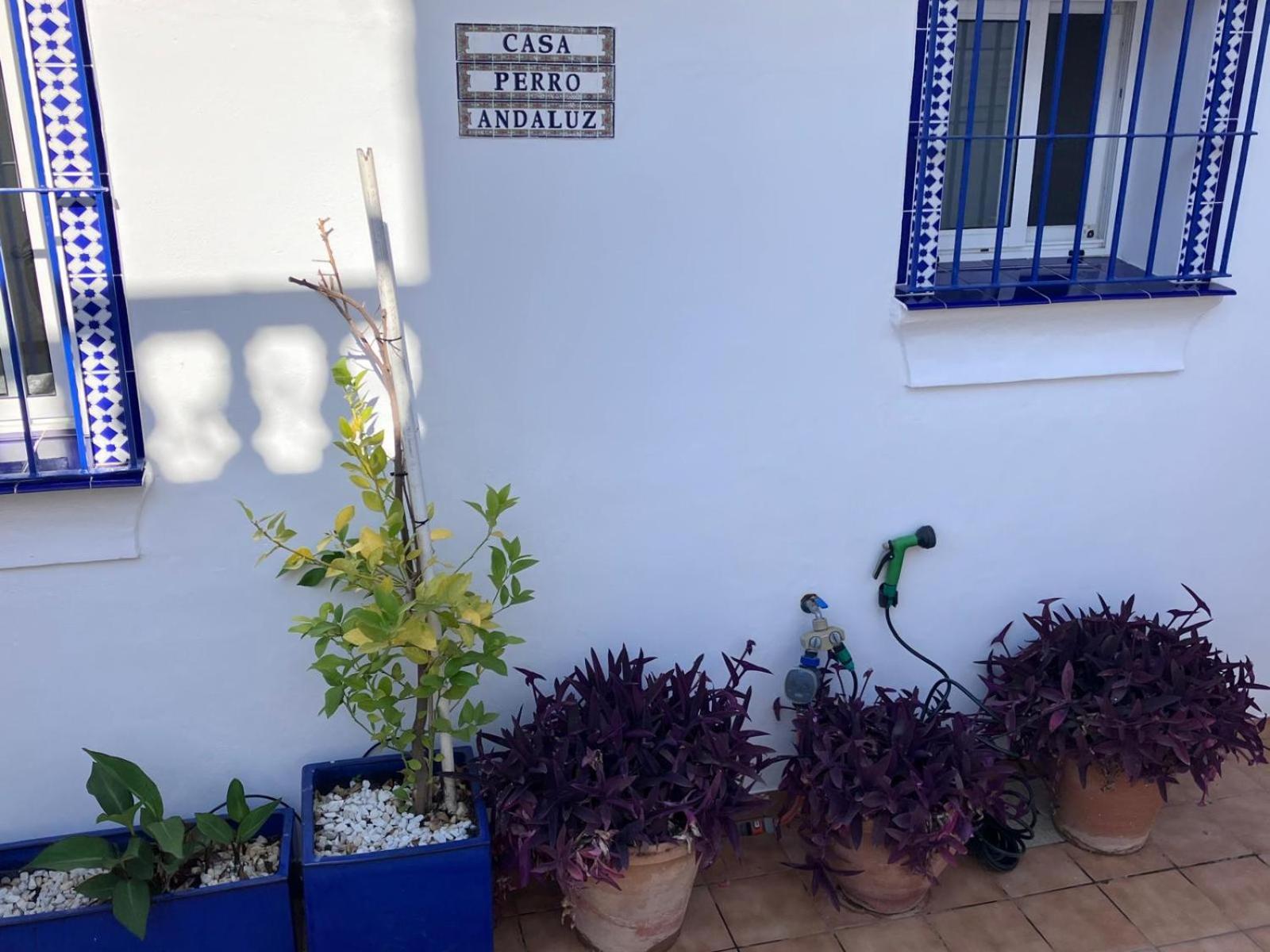 Loma-asunnot Casa Perro Andaluz